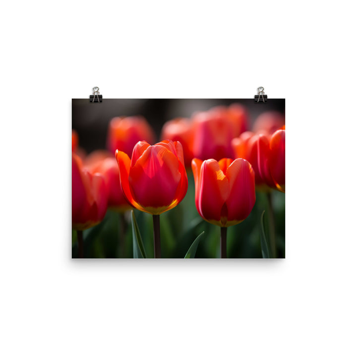 The Majestic Tulips in Natural Light photo paper poster - Posterfy.AI