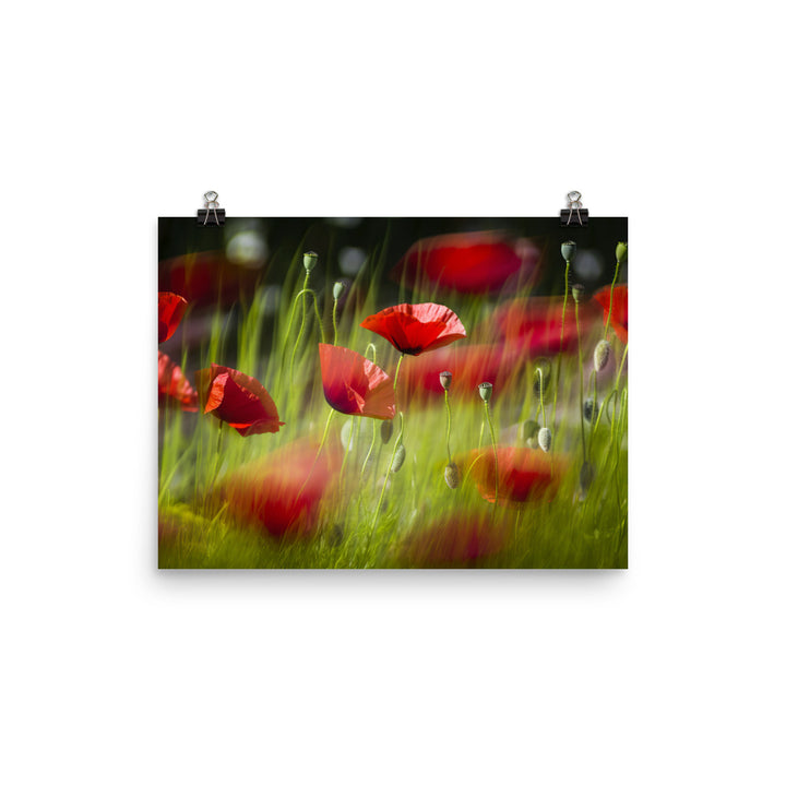 Artistic Poppy photo paper poster - Posterfy.AI