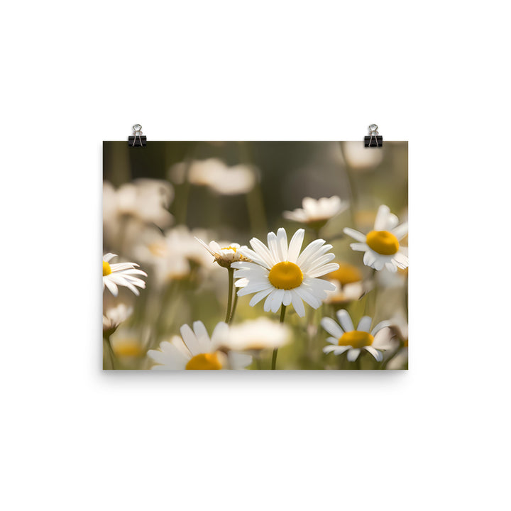 Daisy Dreamland photo paper poster - Posterfy.AI