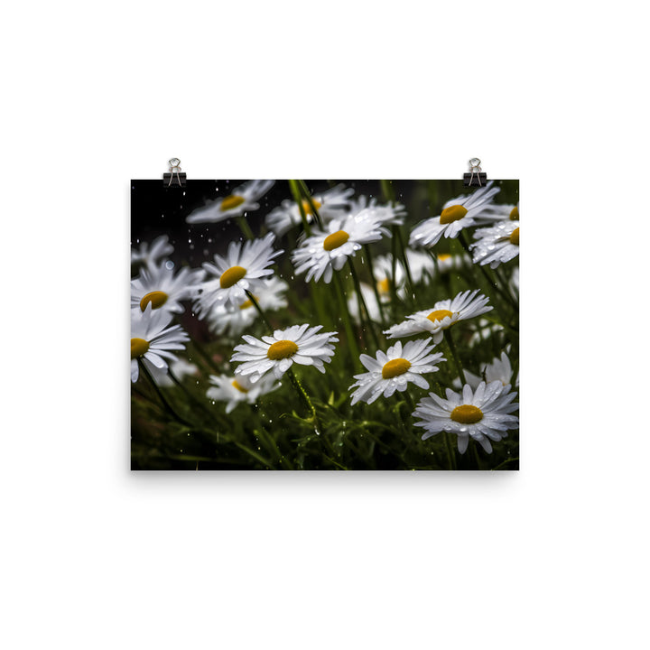 Daisies in the Rain photo paper poster - Posterfy.AI