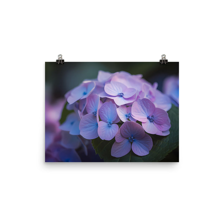 Soft and Dreamy Hydrangea photo paper poster - Posterfy.AI