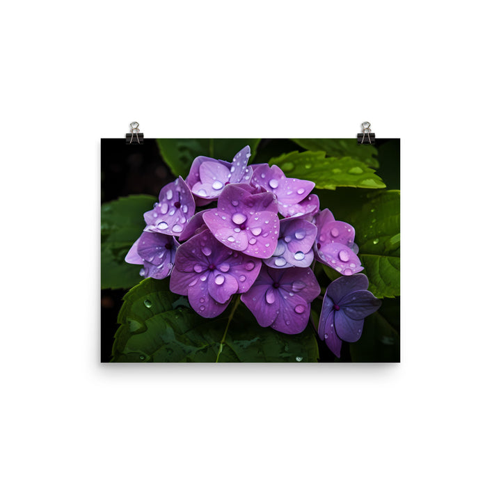 Hydrangea in the Rain photo paper poster - Posterfy.AI