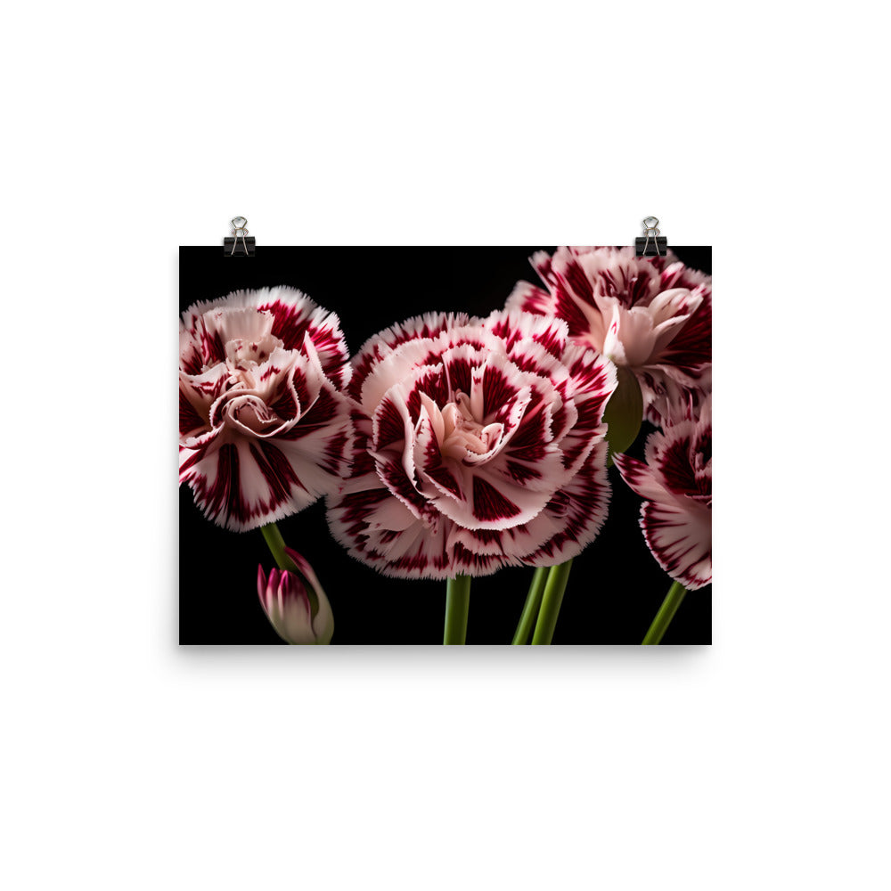 Unique Striped Carnations photo paper poster - Posterfy.AI