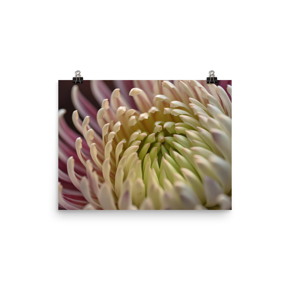 Close-Up of a Chrysanthemum Bloom photo paper poster - Posterfy.AI