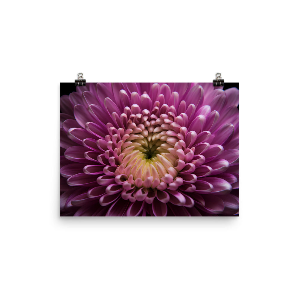 Chrysanthemum Center Stage photo paper poster - Posterfy.AI