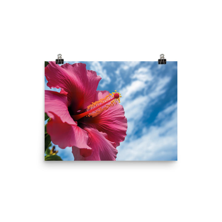 Hibiscus Flower Against a Blue Sky photo paper poster - Posterfy.AI