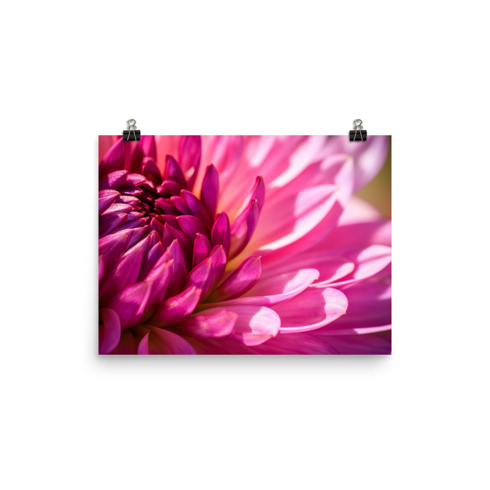 Vibrant Dahlia Under Sunlight photo paper poster - Posterfy.AI