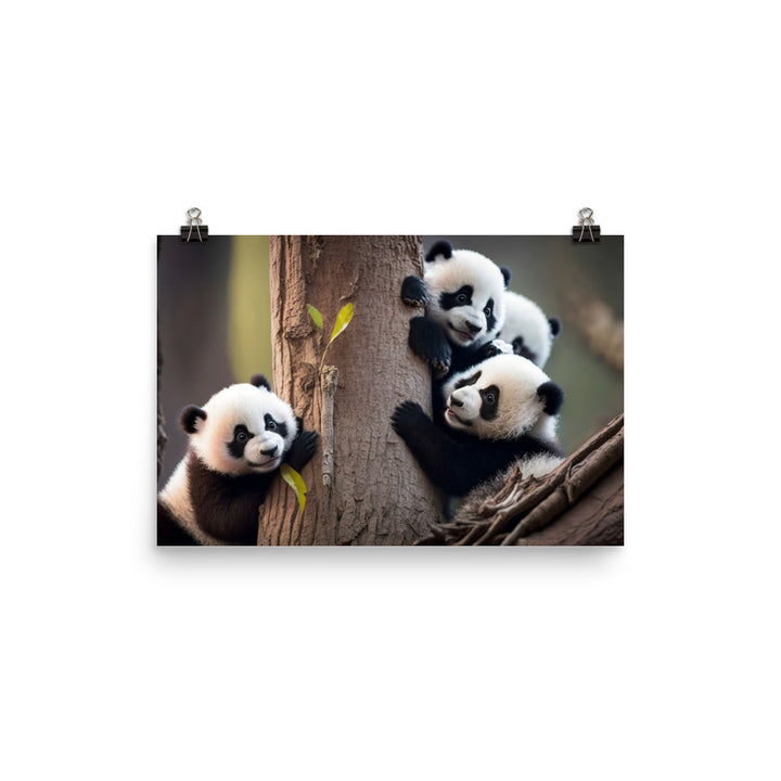 A mischievous panda cub playing with its siblings in a tree photo paper poster - Posterfy.AI
