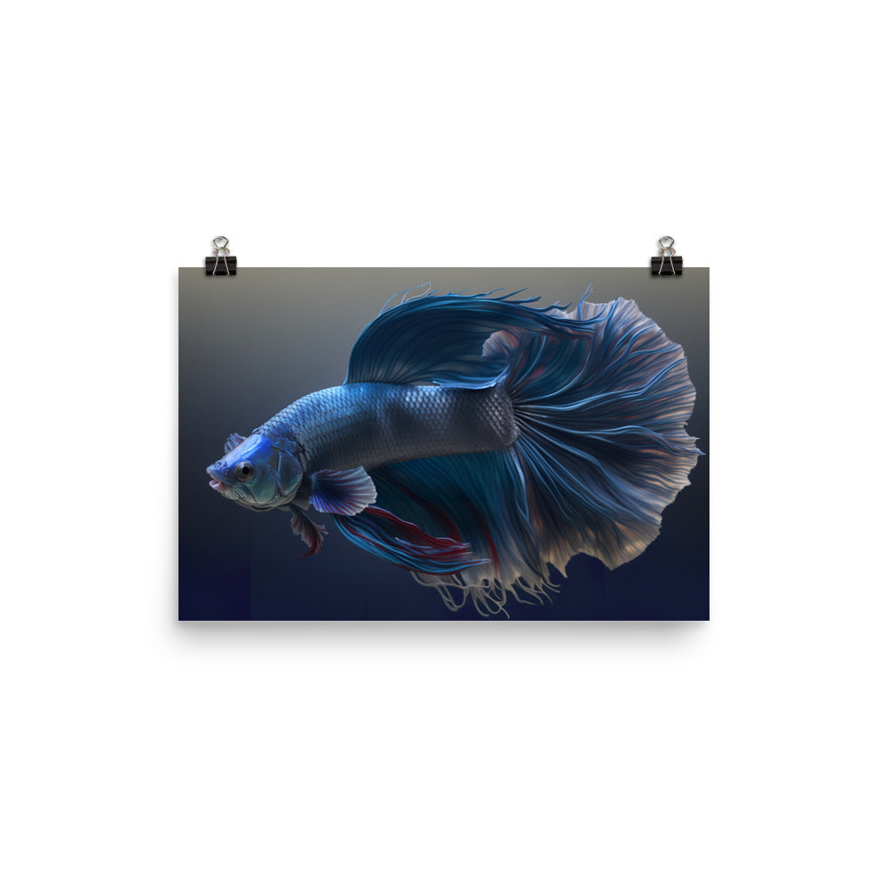 Siamese fighting fish (betta) flaring its gills photo paper poster - Posterfy.AI
