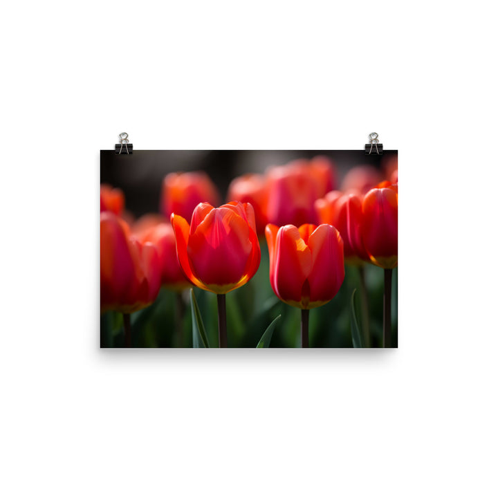 The Majestic Tulips in Natural Light photo paper poster - Posterfy.AI