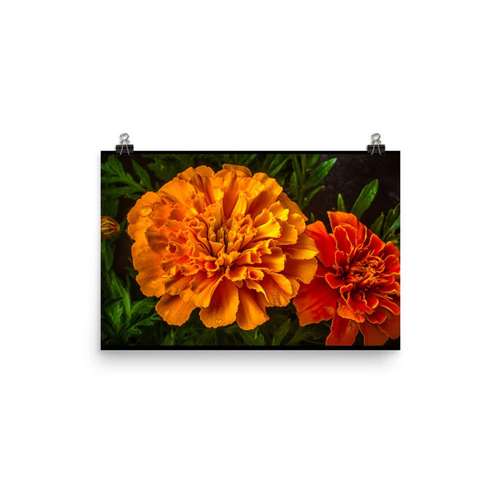 The Alluring World of Marigolds photo paper poster - Posterfy.AI