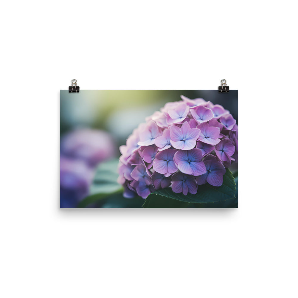 Soft and Dreamy Hydrangea photo paper poster - Posterfy.AI