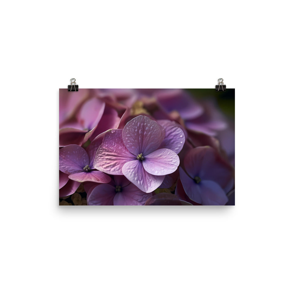 Hydrangea in Full Bloom photo paper poster - Posterfy.AI