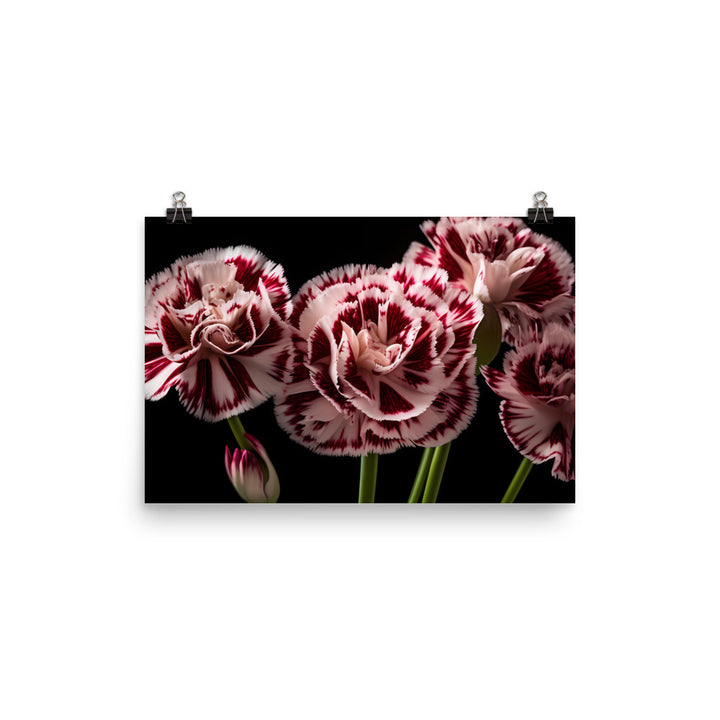 Unique Striped Carnations photo paper poster - Posterfy.AI