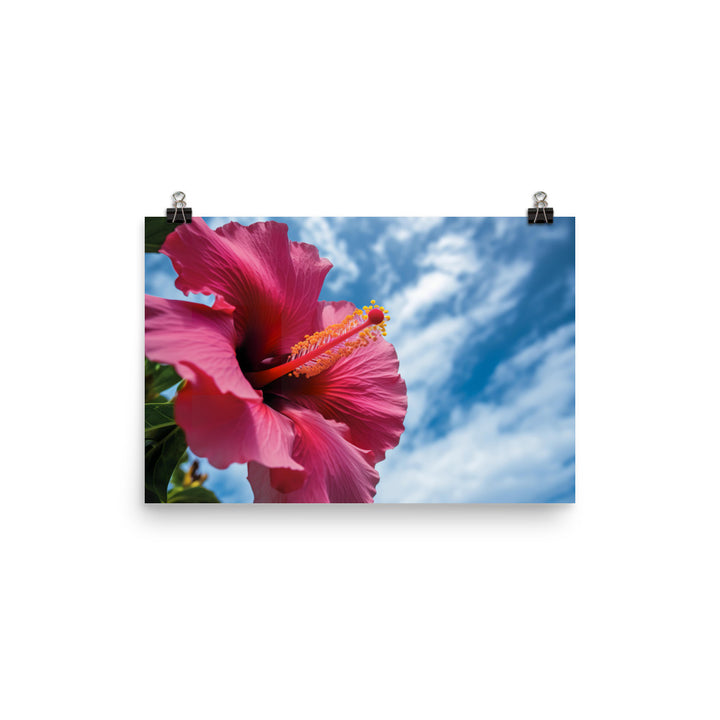 Hibiscus Flower Against a Blue Sky photo paper poster - Posterfy.AI