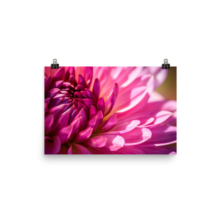 Vibrant Dahlia Under Sunlight photo paper poster - Posterfy.AI