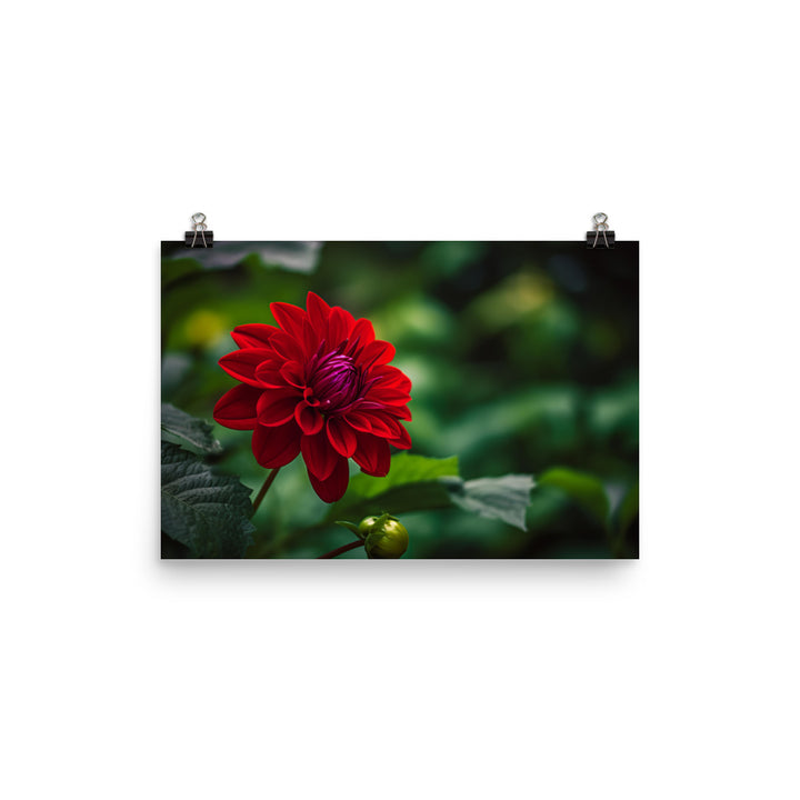 Crimson Dahlia in the Garden photo paper poster - Posterfy.AI