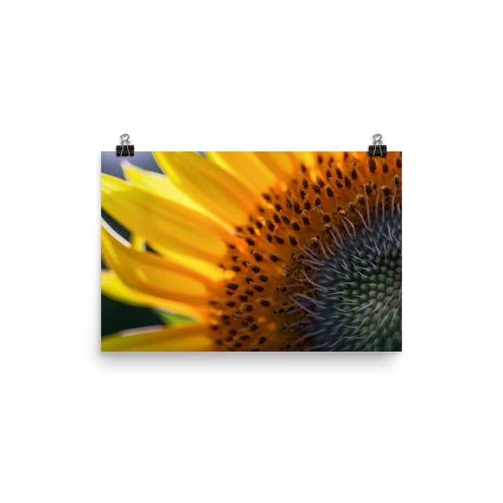 Up Close and Personal with Sunflowers photo paper poster - Posterfy.AI