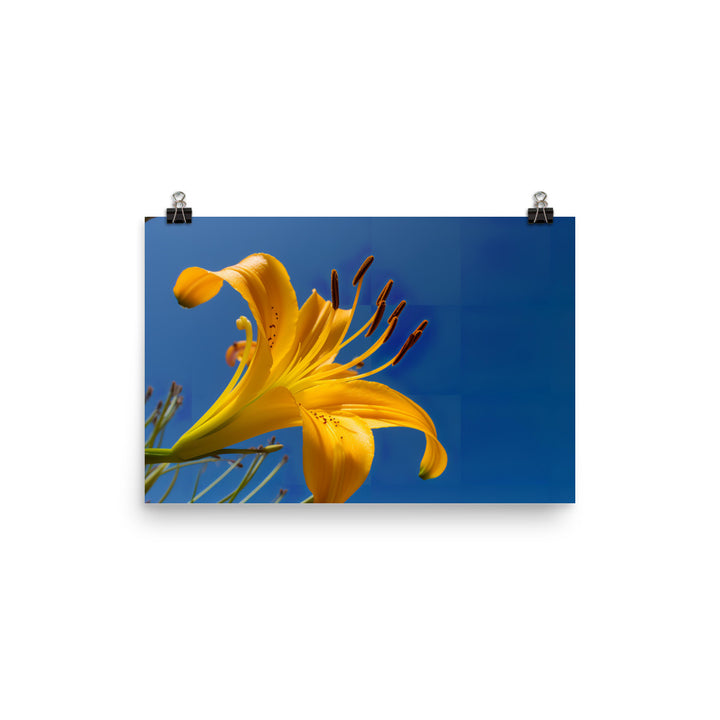 Yellow Lily Against the Sky photo paper poster - Posterfy.AI