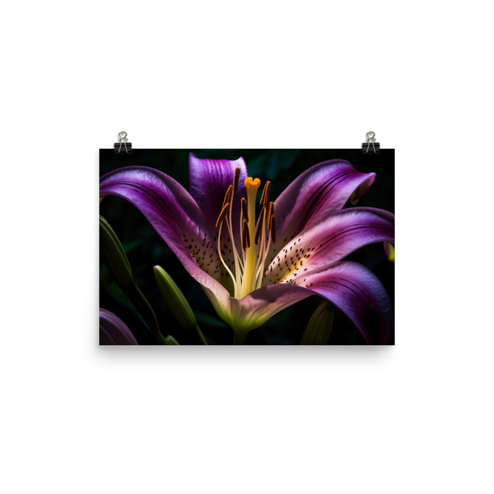 Purple Lily at Dawn photo paper poster - Posterfy.AI
