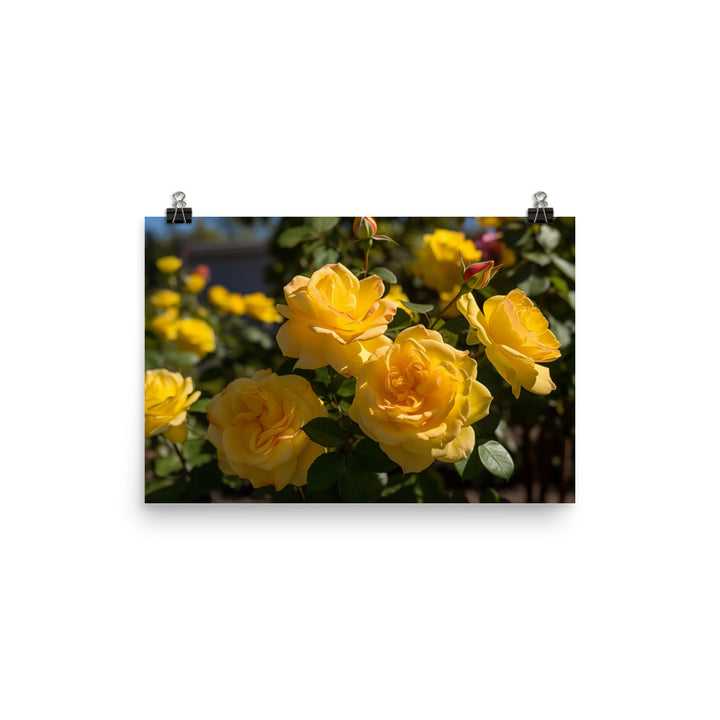 Sunny Yellow Roses photo paper poster - Posterfy.AI