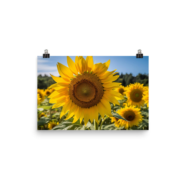 Sunflowers in the Sun photo paper poster - Posterfy.AI