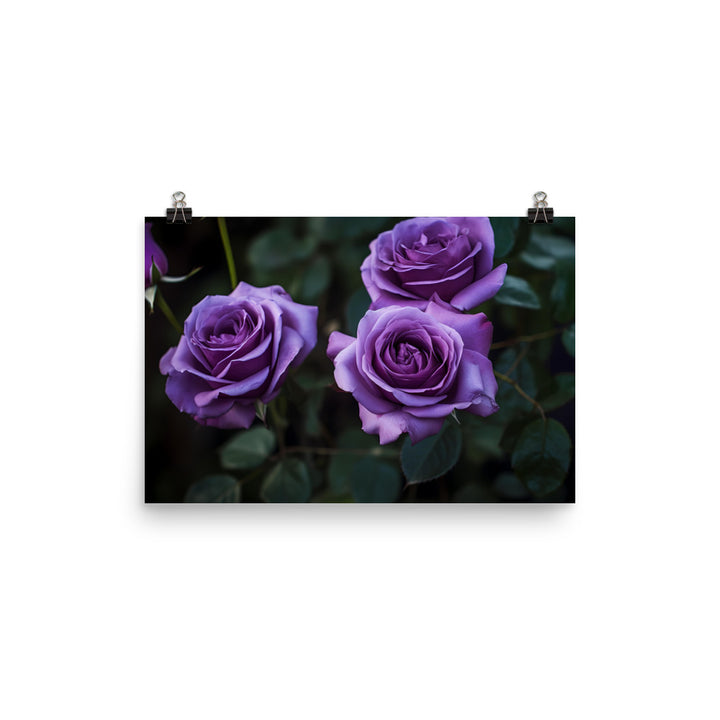 Regal Purple Roses photo paper poster - Posterfy.AI