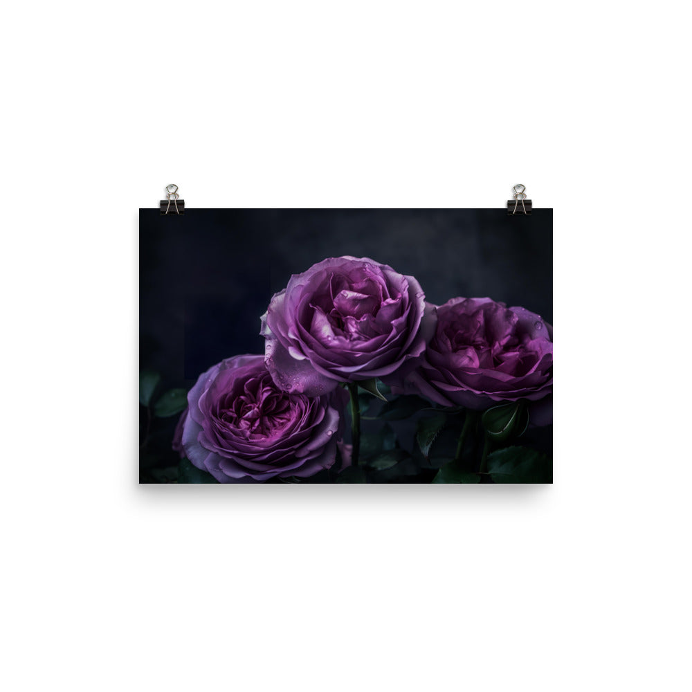 Regal Purple Roses photo paper poster - Posterfy.AI