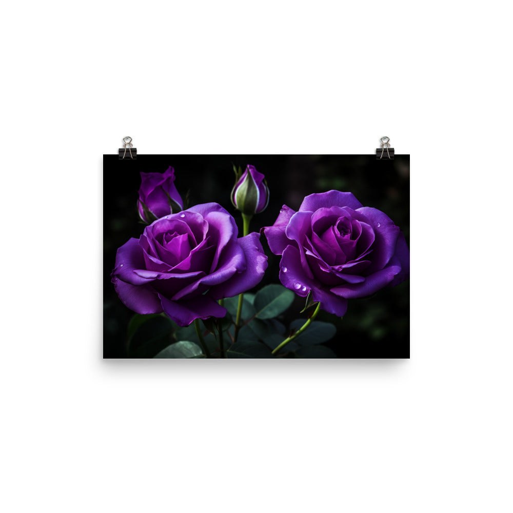 Regal Purple Roses photo paper poster - Posterfy.AI