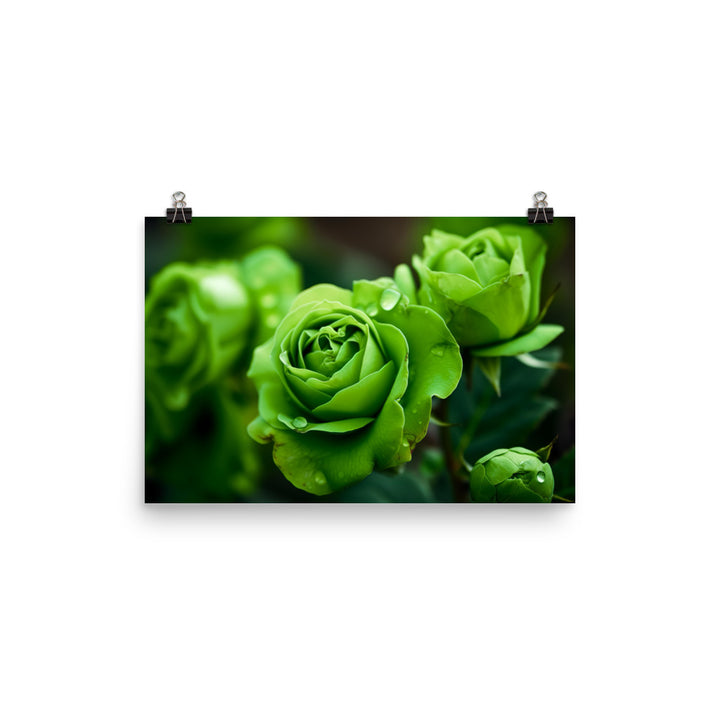 Refreshing Green Roses photo paper poster - Posterfy.AI