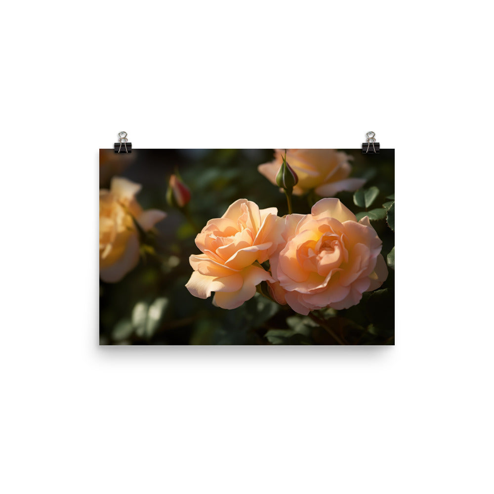 Lively Orange Roses photo paper poster - Posterfy.AI