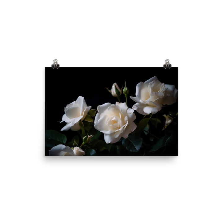 Classic White Roses photo paper poster - Posterfy.AI