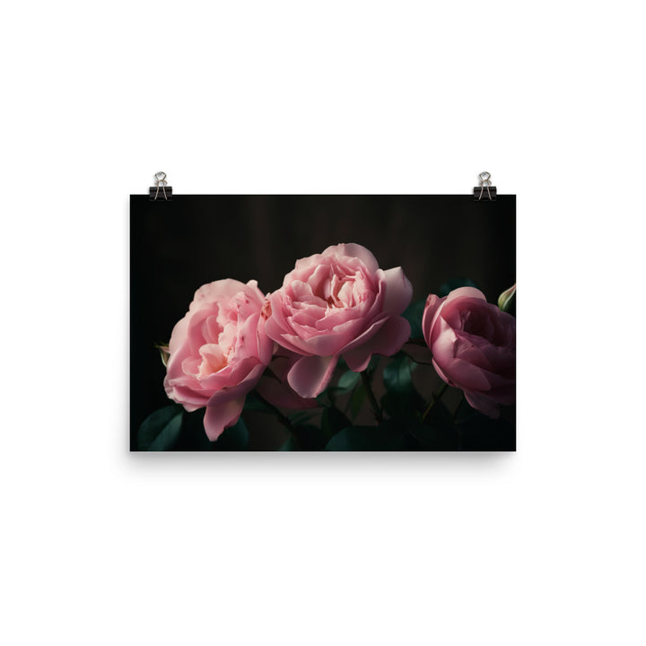 Blushing Pink Roses photo paper poster - Posterfy.AI