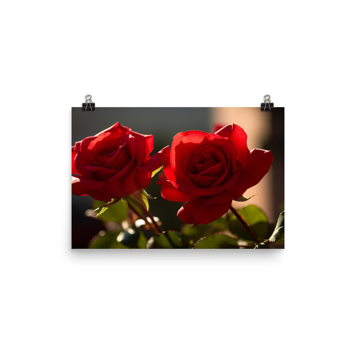 A Sea of Red Roses photo paper poster - Posterfy.AI