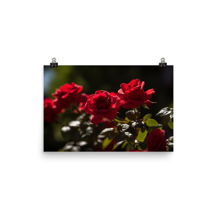 A Sea of Red Roses photo paper poster - Posterfy.AI