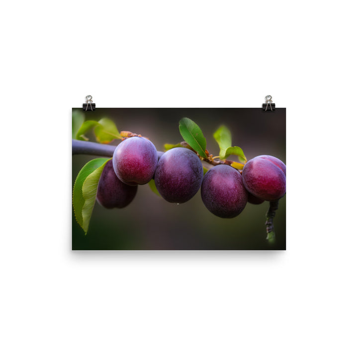 Plums on a Tree photo paper poster - Posterfy.AI