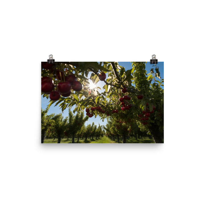 Cherry Picking Season photo paper poster - Posterfy.AI