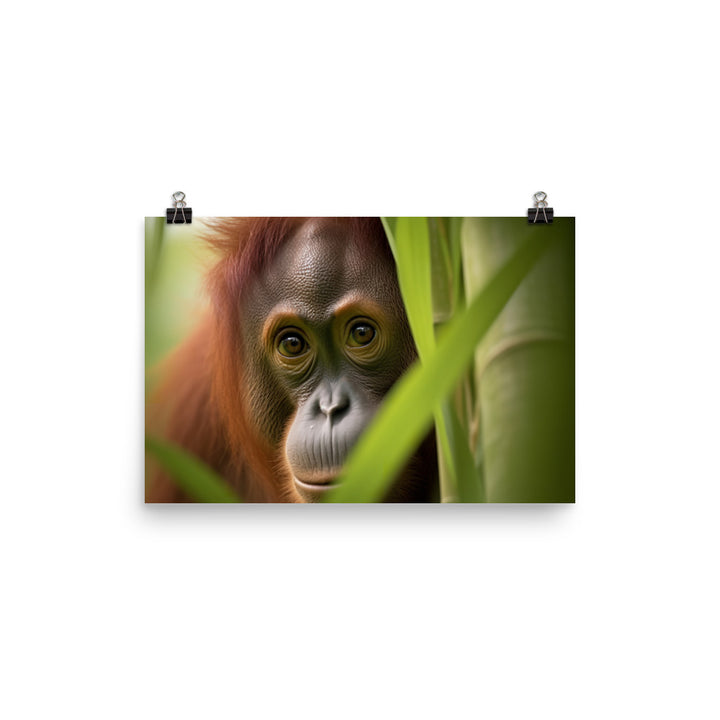 Adorable Orangutan Curiously Peeking photo paper poster - Posterfy.AI