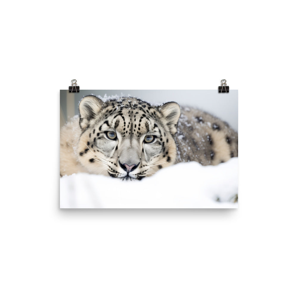 A Snow Leopard hiding in the snow photo paper poster - Posterfy.AI