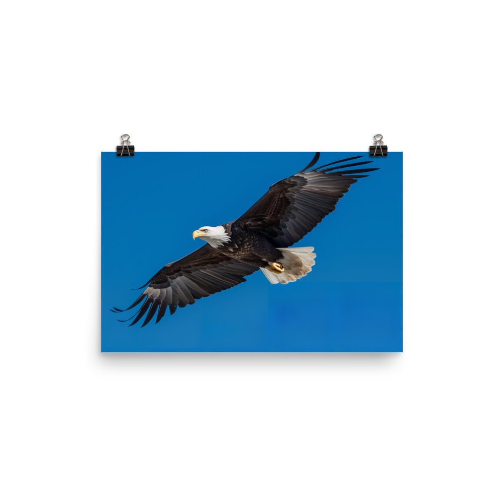 Beautiful Bald Eagle in Flight Against the Blue Sky photo paper poster - Posterfy.AI