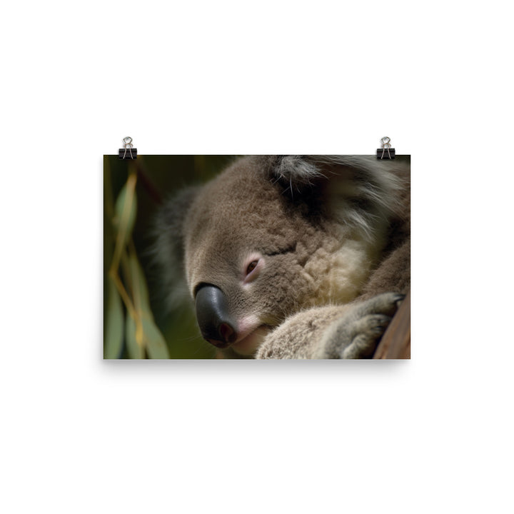 Sleepy Koala Snuggled Up in a Tree photo paper poster - Posterfy.AI