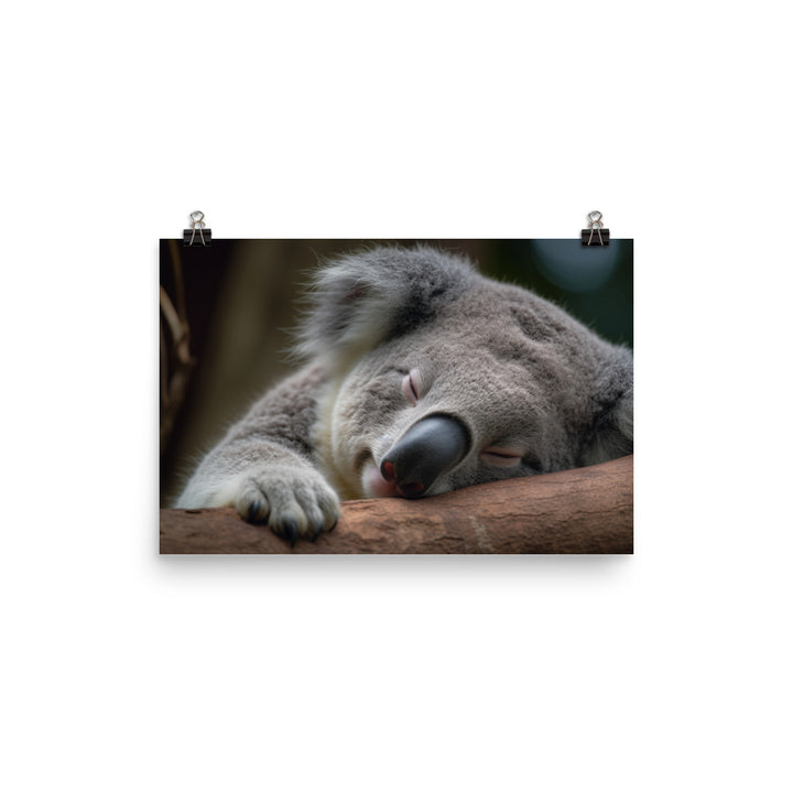 Sleepy Koala Snuggled Up in a Tree photo paper poster - Posterfy.AI