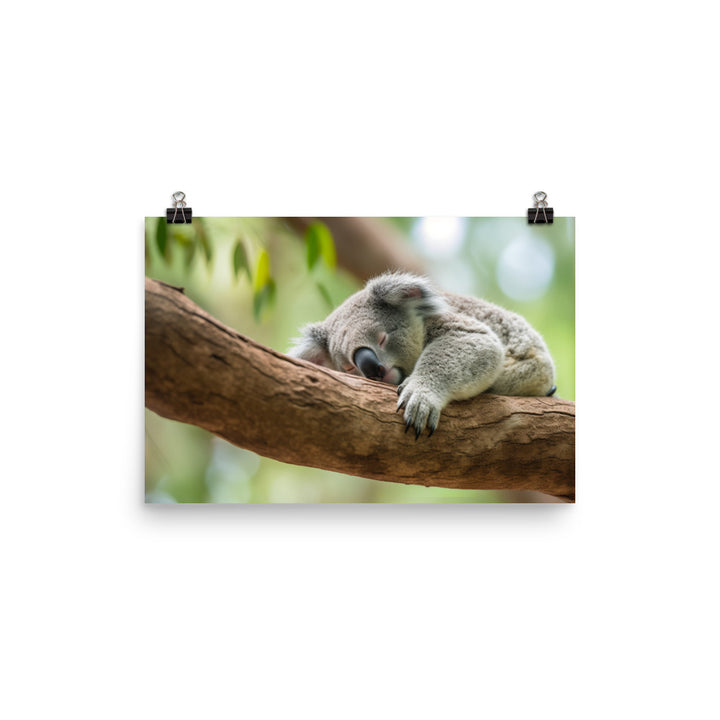 Koala Taking a Nap on a Tree Branch photo paper poster - Posterfy.AI