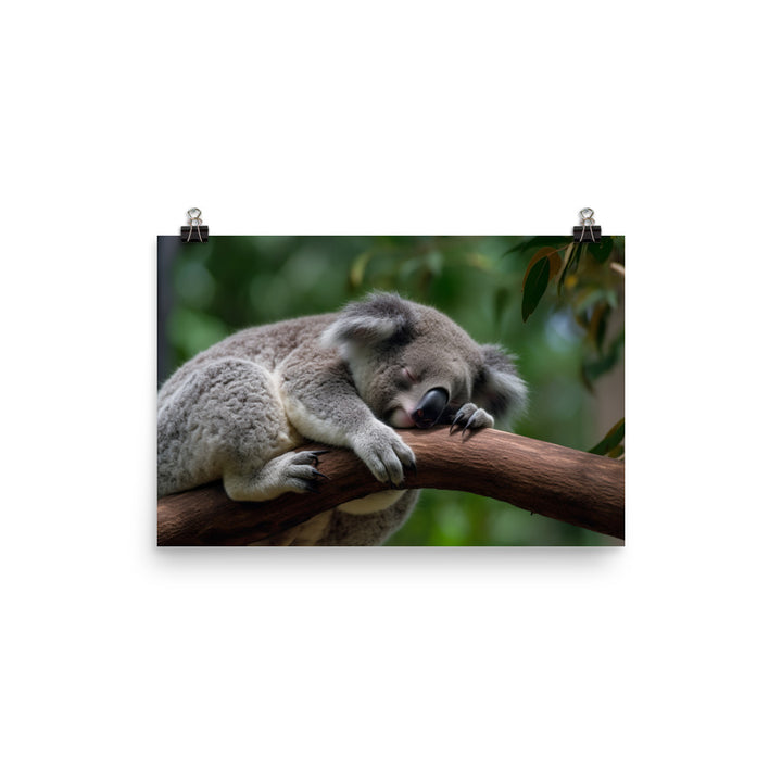 Koala Taking a Nap on a Tree Branch photo paper poster - Posterfy.AI