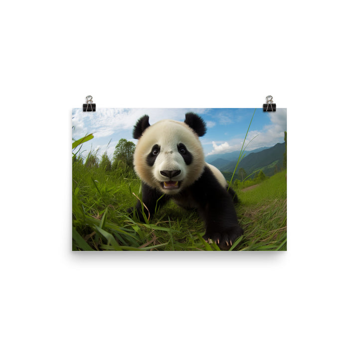 Panda Playtime photo paper poster - Posterfy.AI