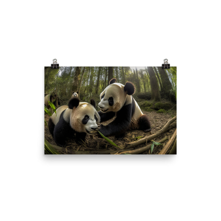 Panda Playtime photo paper poster - Posterfy.AI