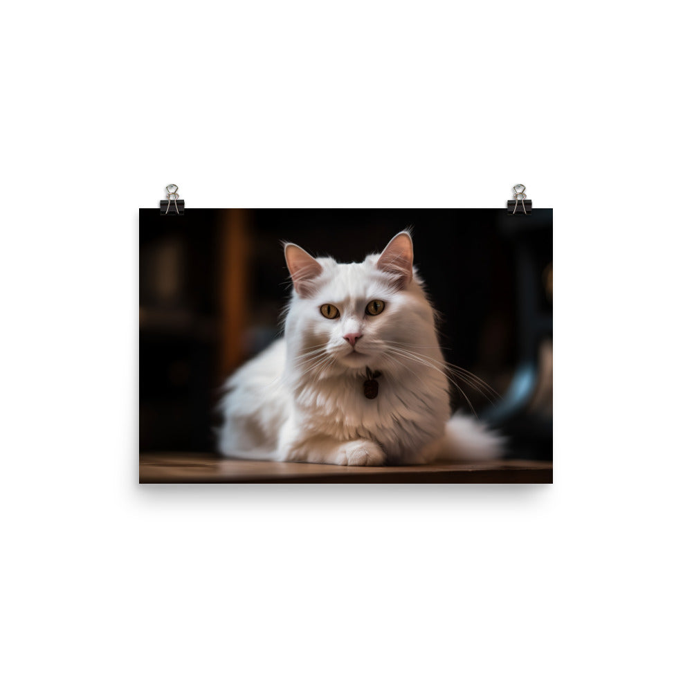 Elegant Turkish Angora posing for the camera photo paper poster - Posterfy.AI