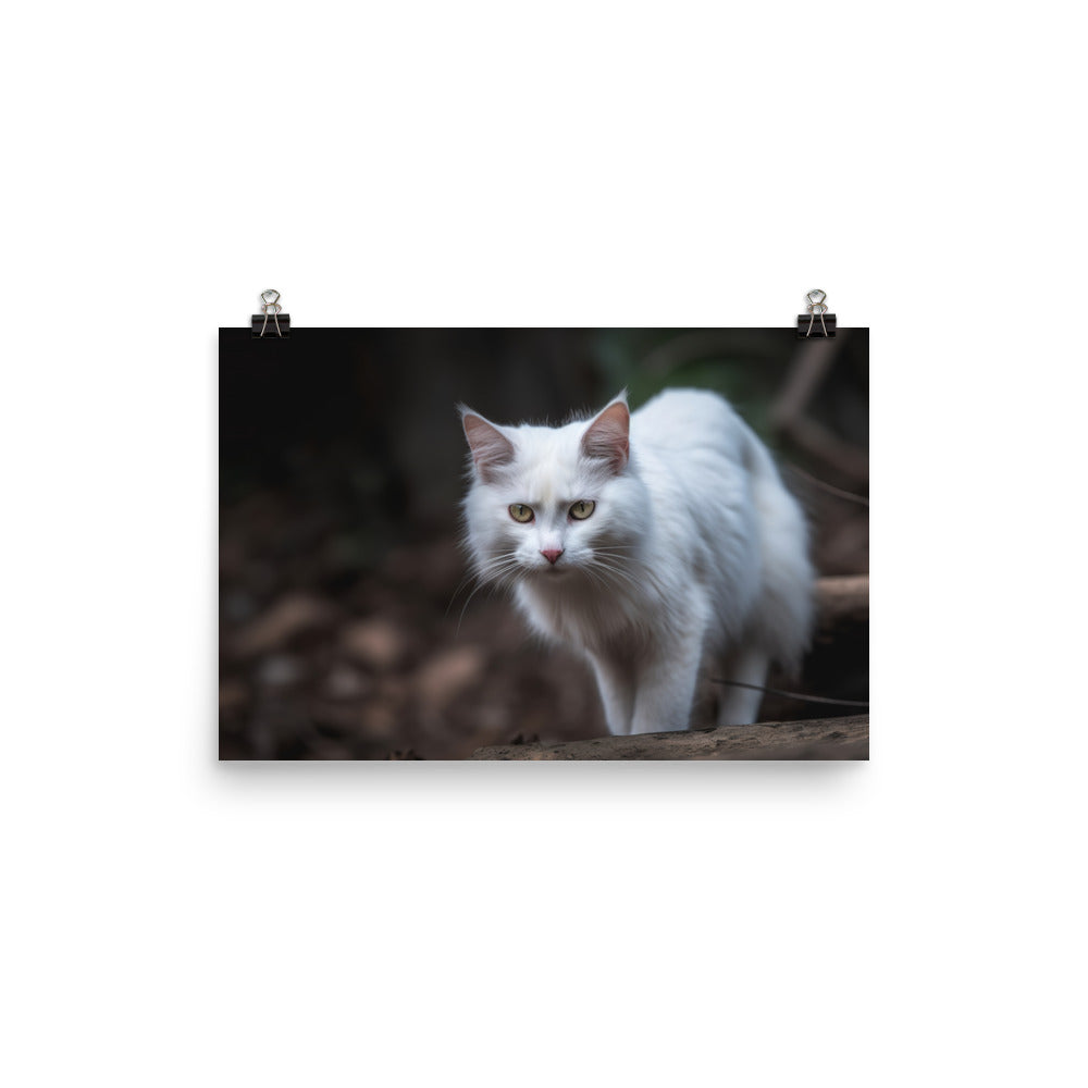 Curious Turkish Angora exploring its surroundings photo paper poster - Posterfy.AI