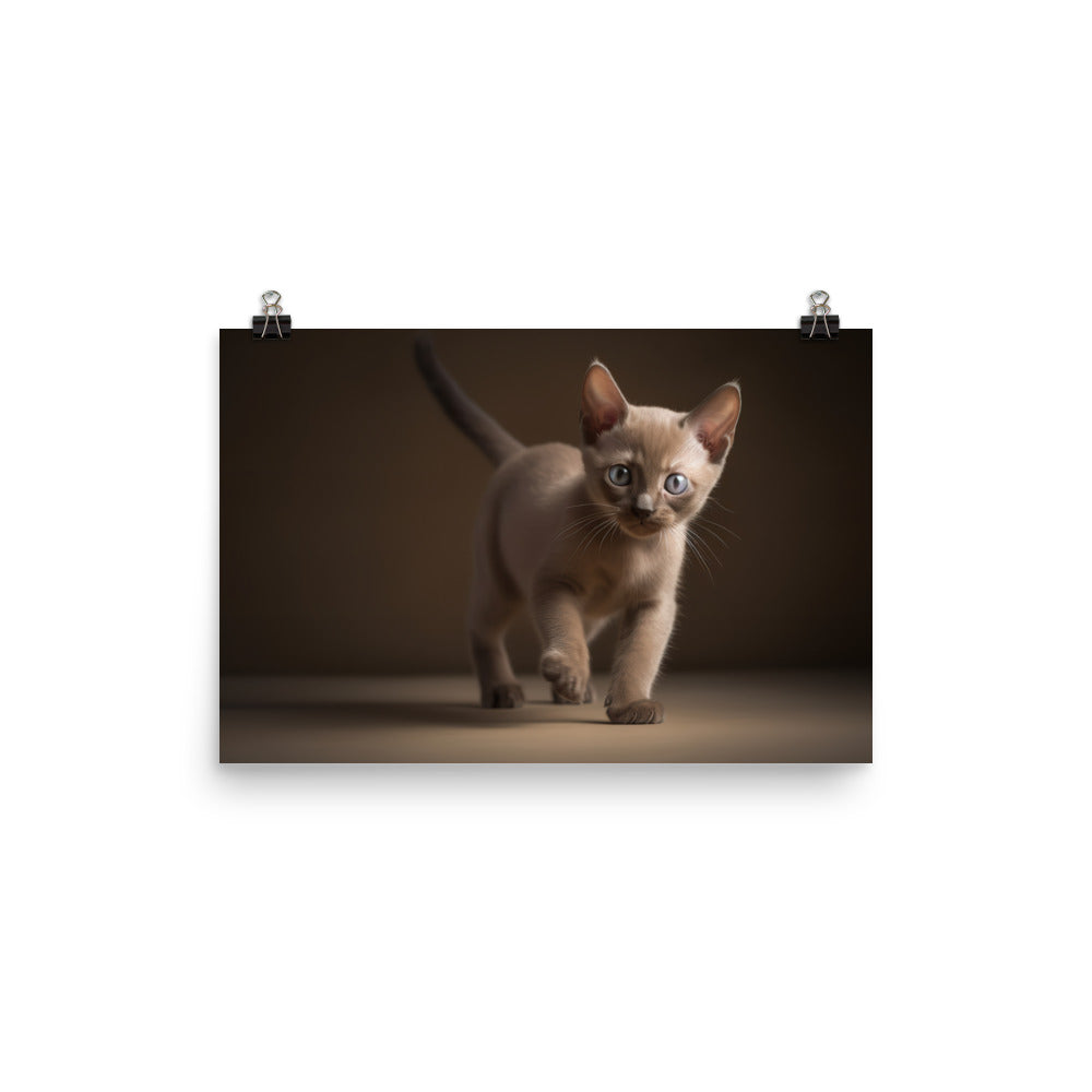 The Playful Burmese Kitten photo paper poster - Posterfy.AI