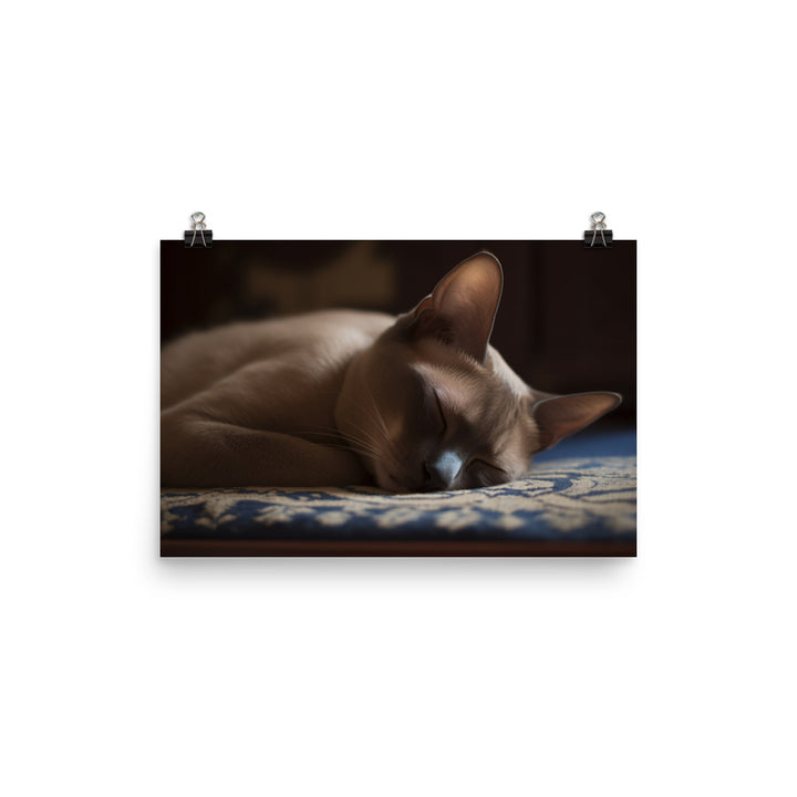 Sleeping Burmese Beauty photo paper poster - Posterfy.AI